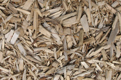 biomass boilers Hopwood